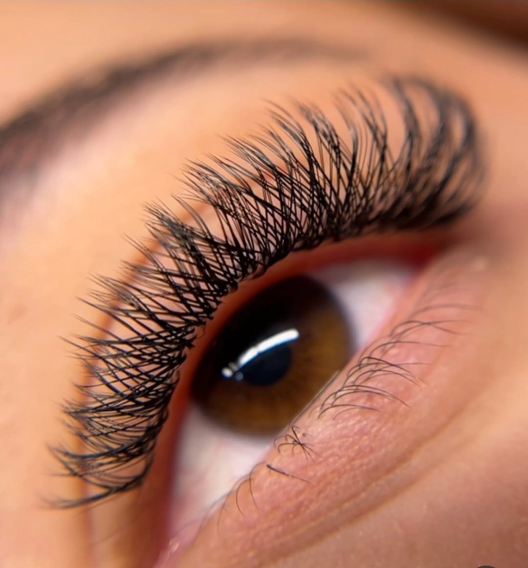 WhatsApp Image 2026-03-09 at 17.13.35 (2)